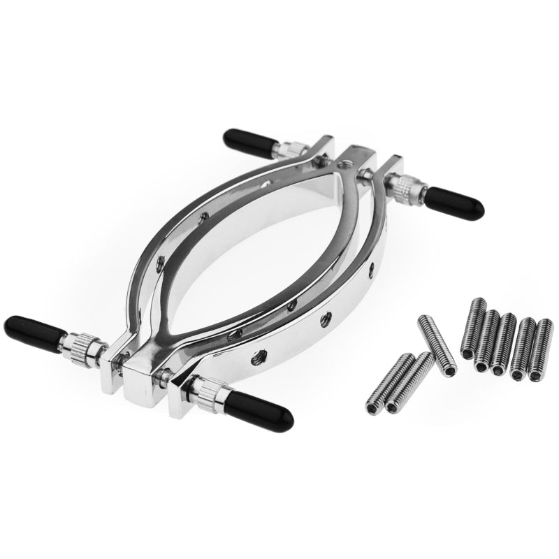 Зажим для женских половых губ с поводком на цепи Labia Clamps Clitoris